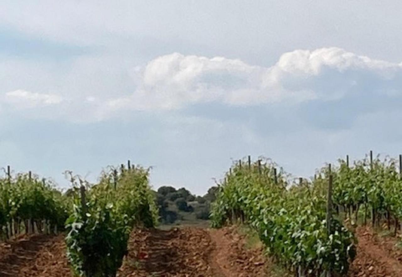 Apartamento Turistico Cerca Aranda De Duero La Ren Lecres Vadocondes Dış mekan fotoğraf