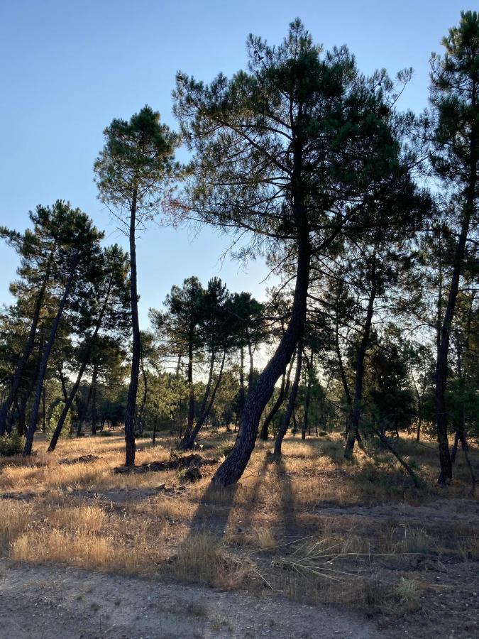 Apartamento Turistico Cerca Aranda De Duero La Ren Lecres Vadocondes Dış mekan fotoğraf